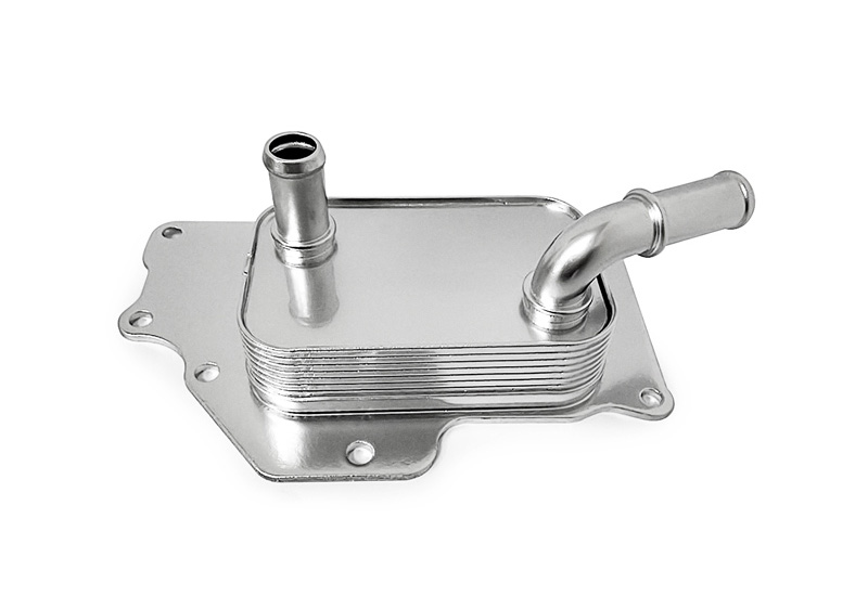 xc sports(中国区)-官方网站